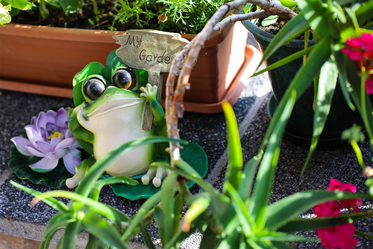 Žabac i njegov vrt